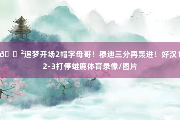 😲追梦开场2帽字母哥！穆迪三分再轰进！好汉12-3打停雄鹿体育录像/图片