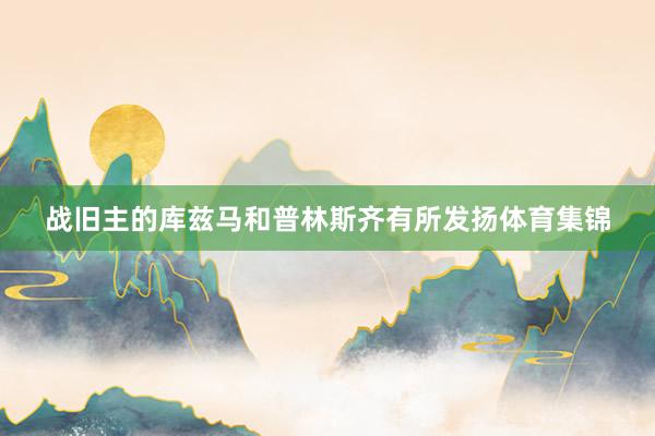 战旧主的库兹马和普林斯齐有所发扬体育集锦