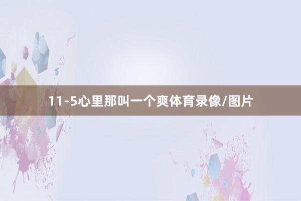 11-5心里那叫一个爽体育录像/图片