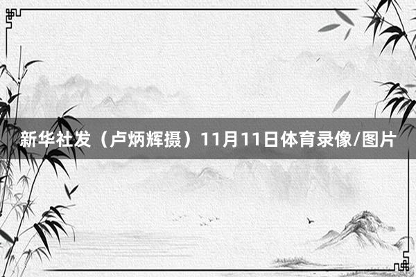 新华社发（卢炳辉摄）11月11日体育录像/图片