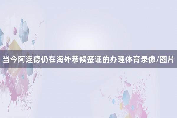 当今阿连德仍在海外恭候签证的办理体育录像/图片