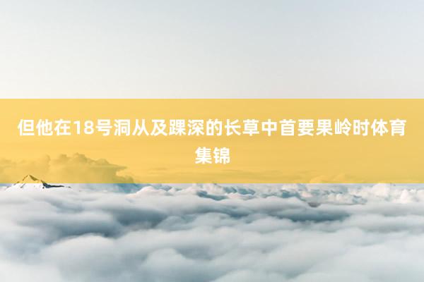 但他在18号洞从及踝深的长草中首要果岭时体育集锦