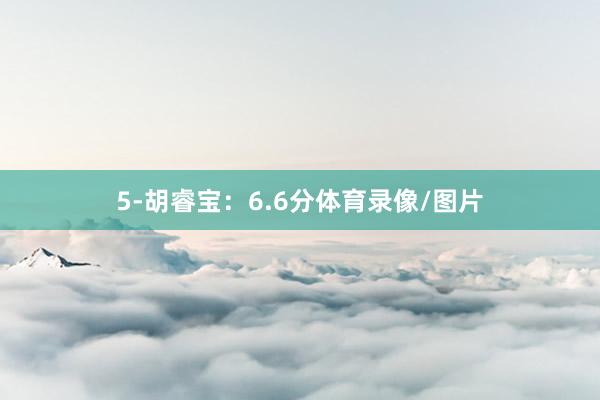 5-胡睿宝：6.6分体育录像/图片