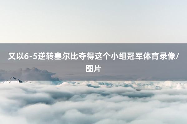 又以6-5逆转塞尔比夺得这个小组冠军体育录像/图片